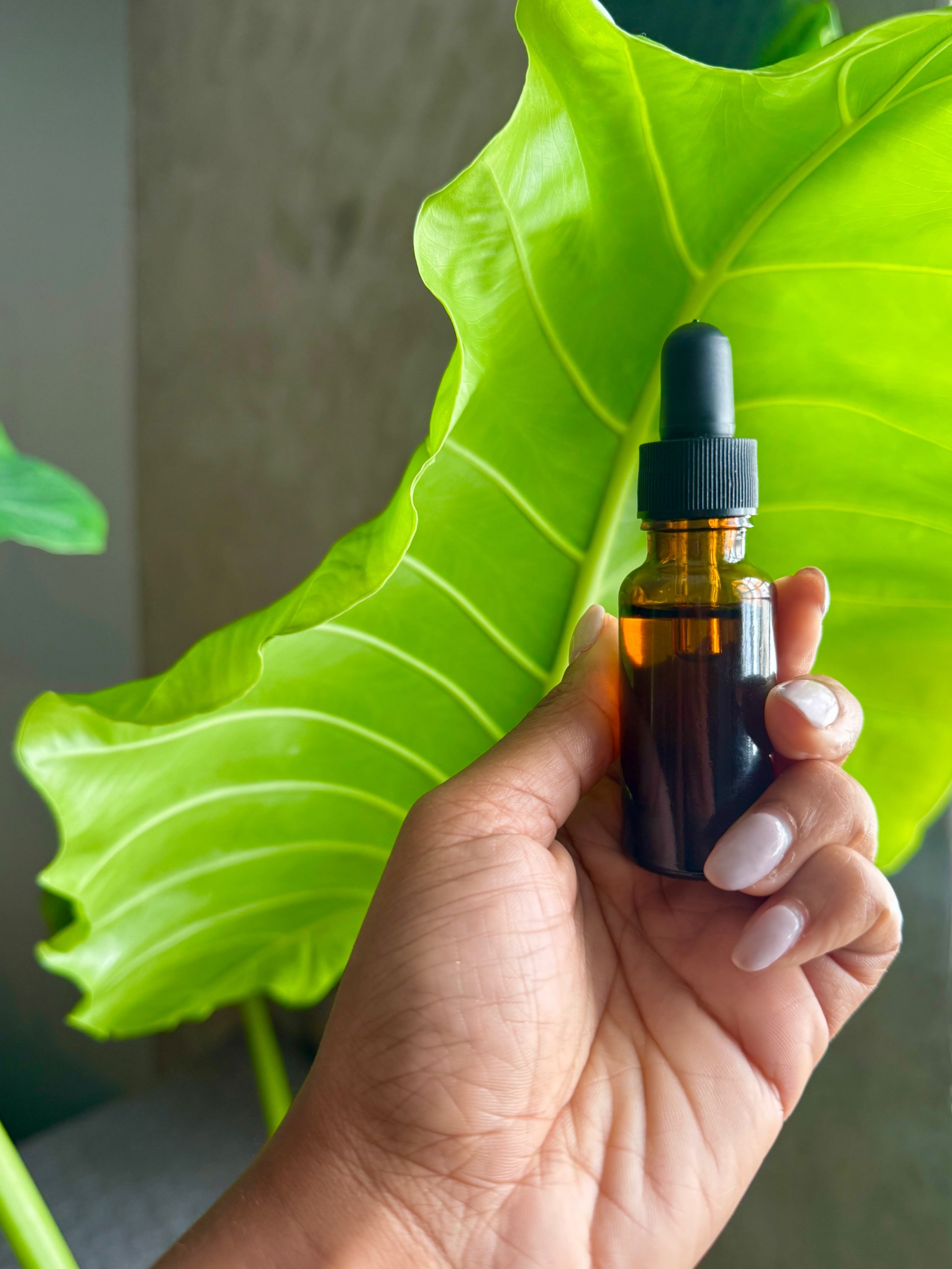 Melipona Stingless Bee Honey — Sacred Mayan Medicine (1 oz Dropper Bottle)