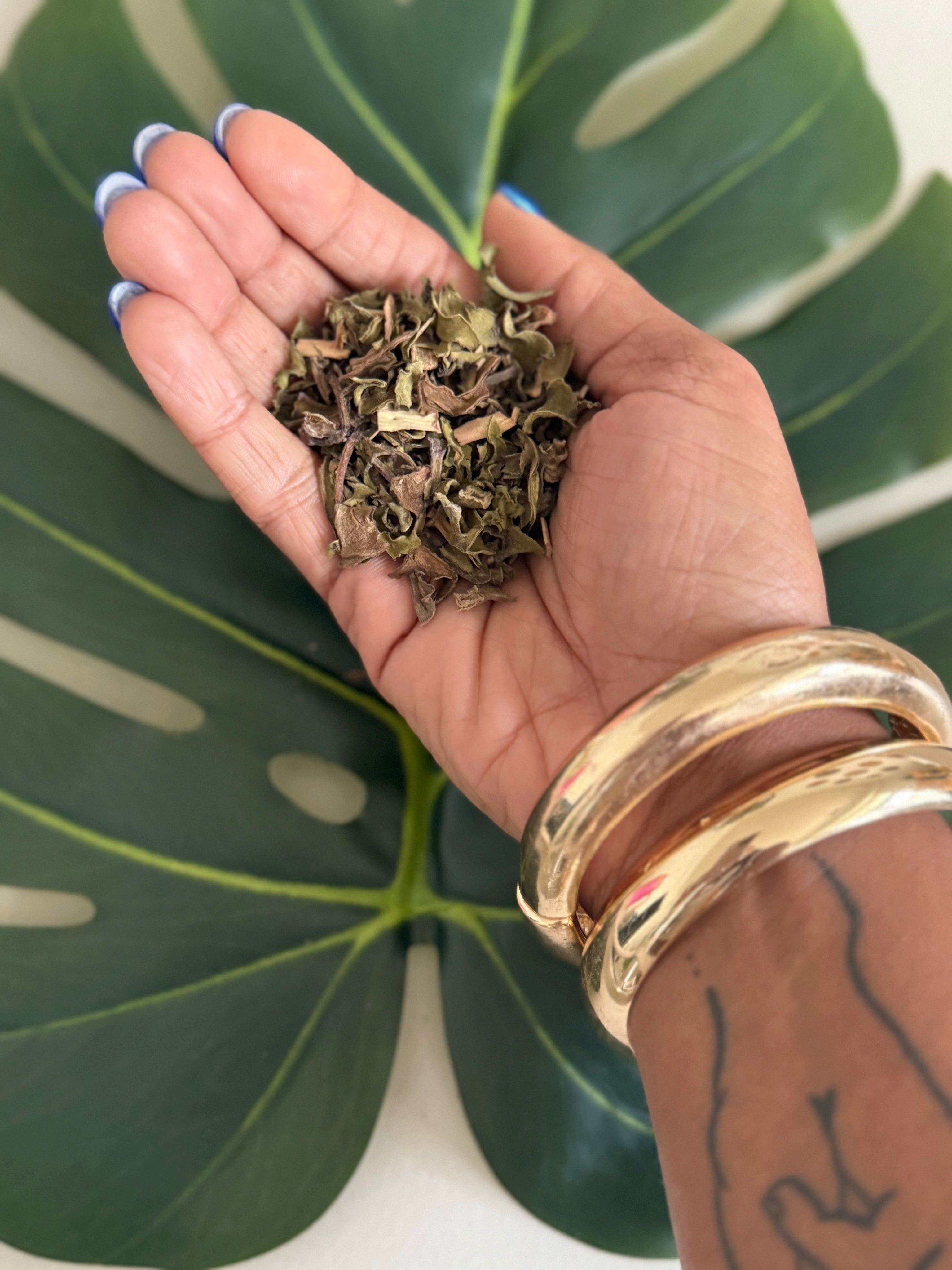 Leaf of Life | Wildcrafted from Jamaica | Sun Dried (60g)