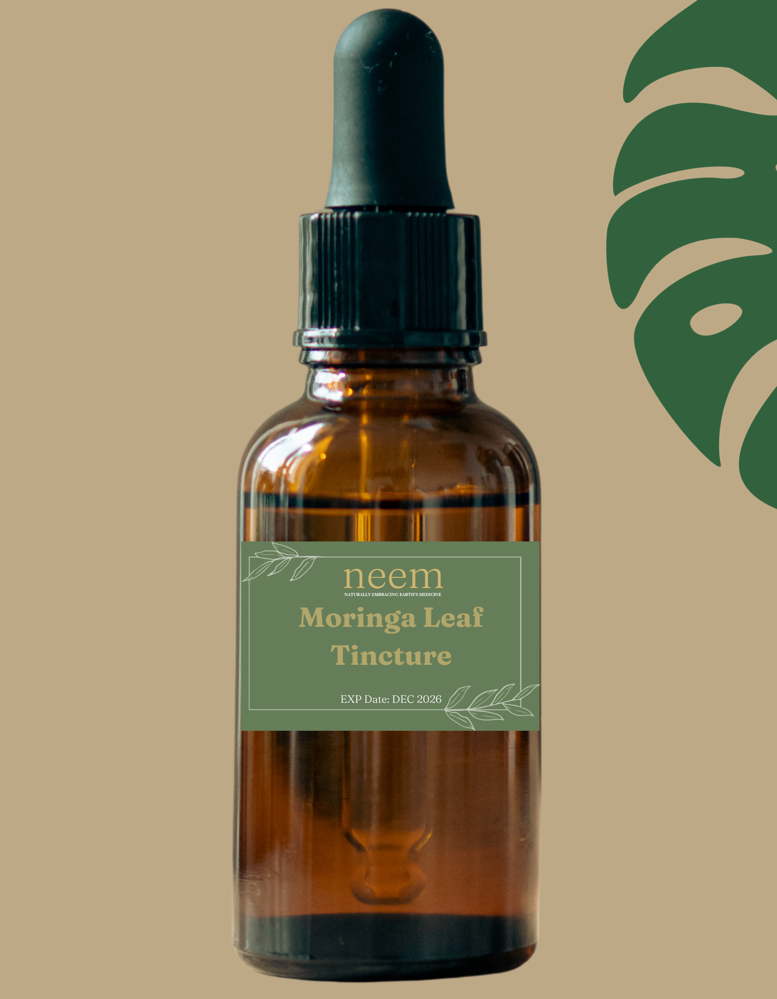 Moringa Leaf Tincture (1oz)