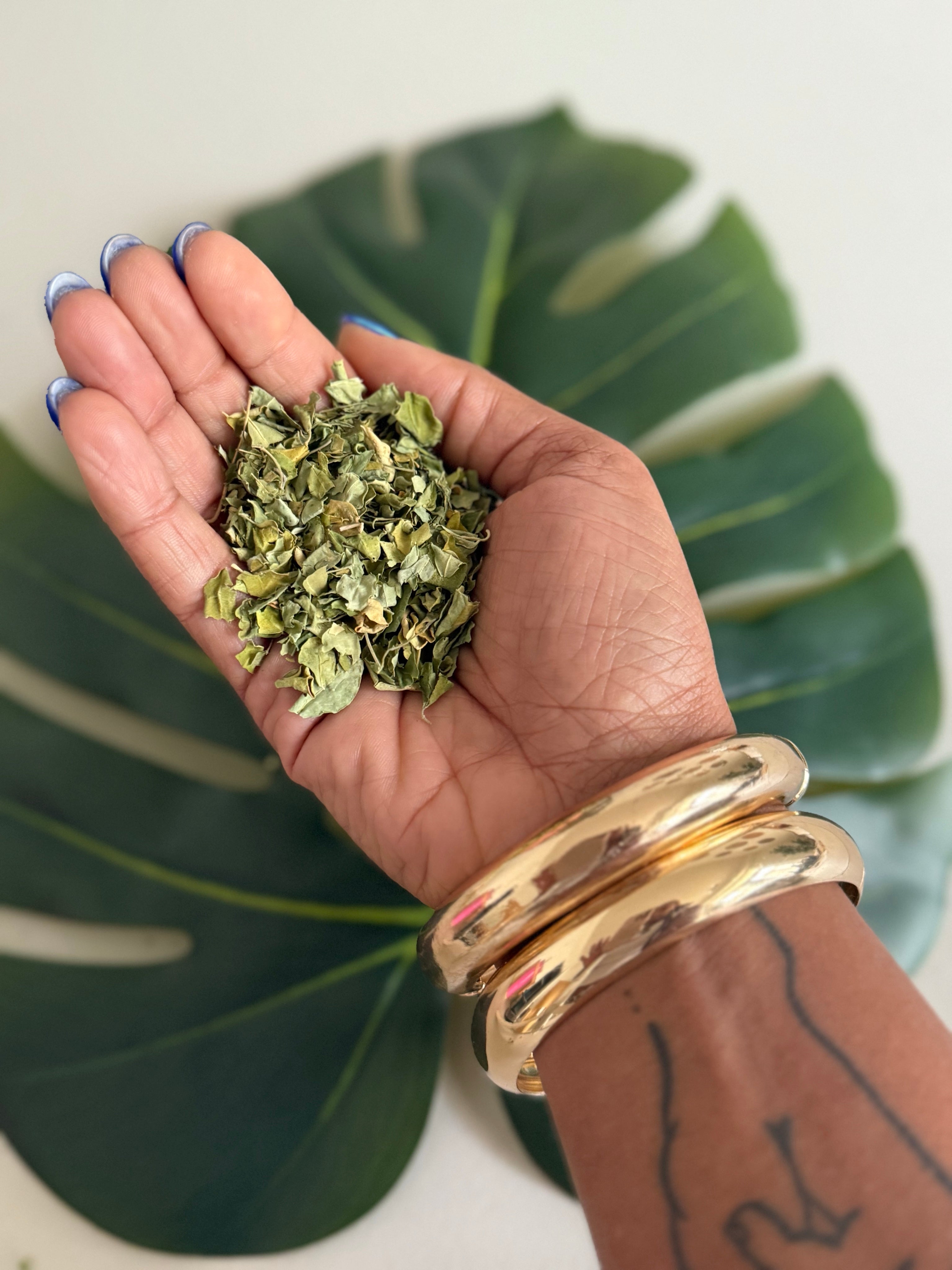 Moringa Leaves | Wildcrafted from Jamaica | Sun Dried (40g)