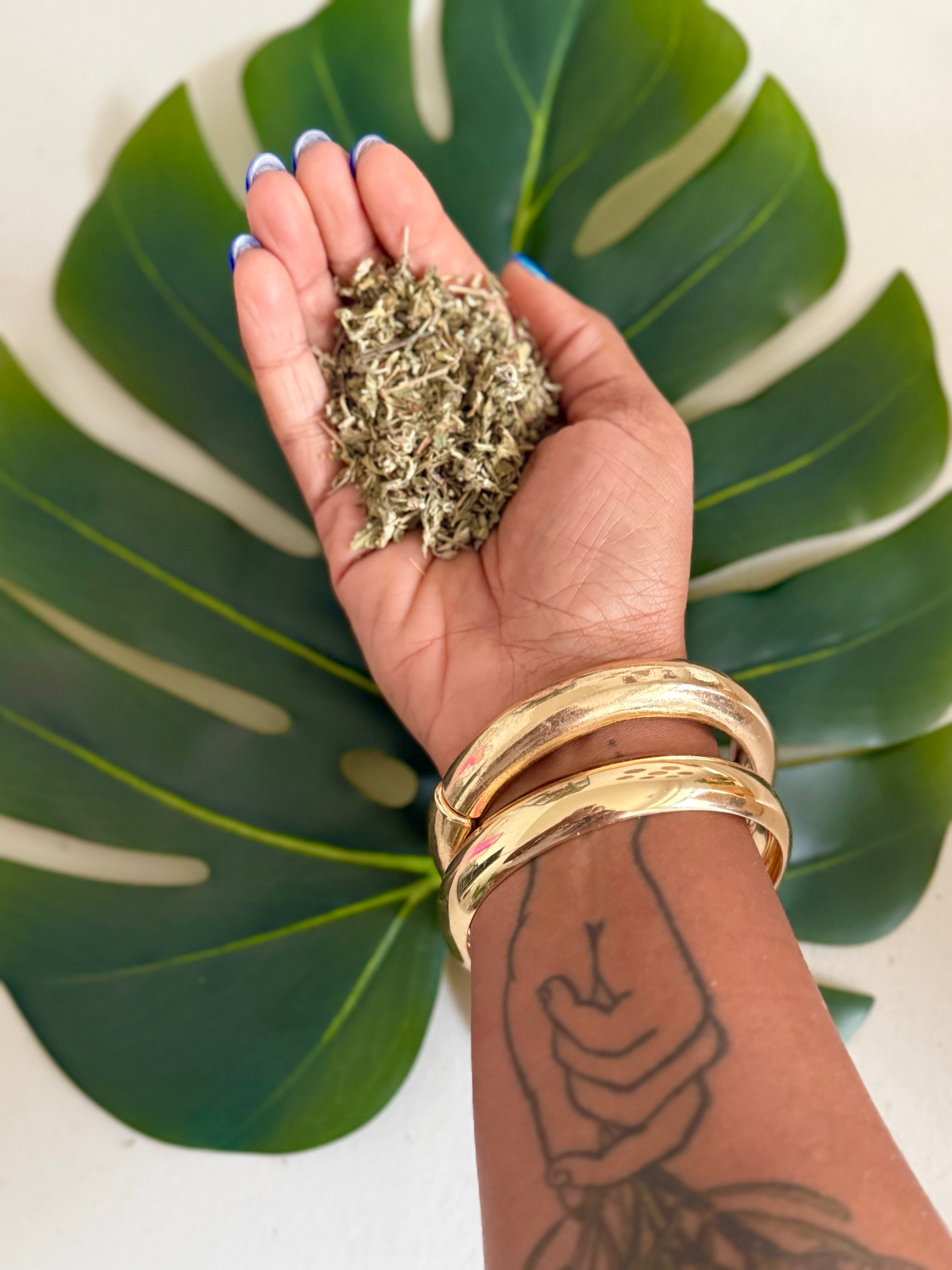 Dried Damiana | Wildcrafted in Jamaica | Sun Dried (30g)