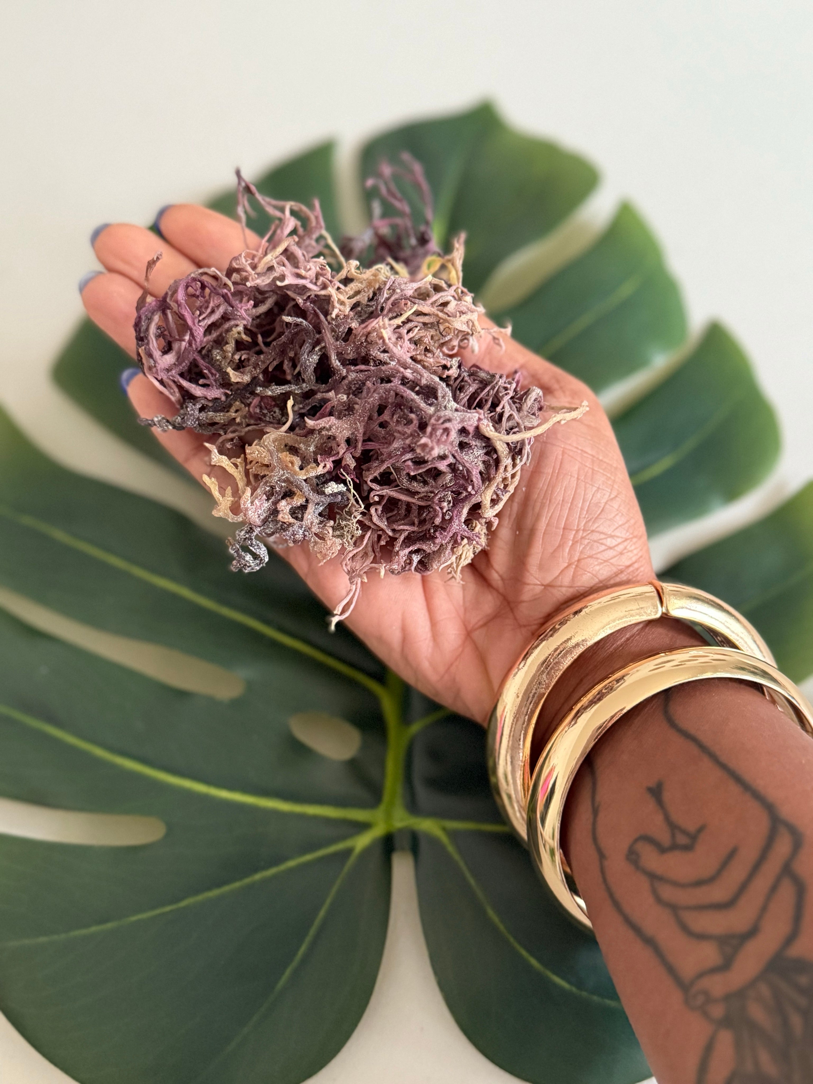 Purple Sea Moss | Wildcrafted from Jamaica | Sun Dried (80g)