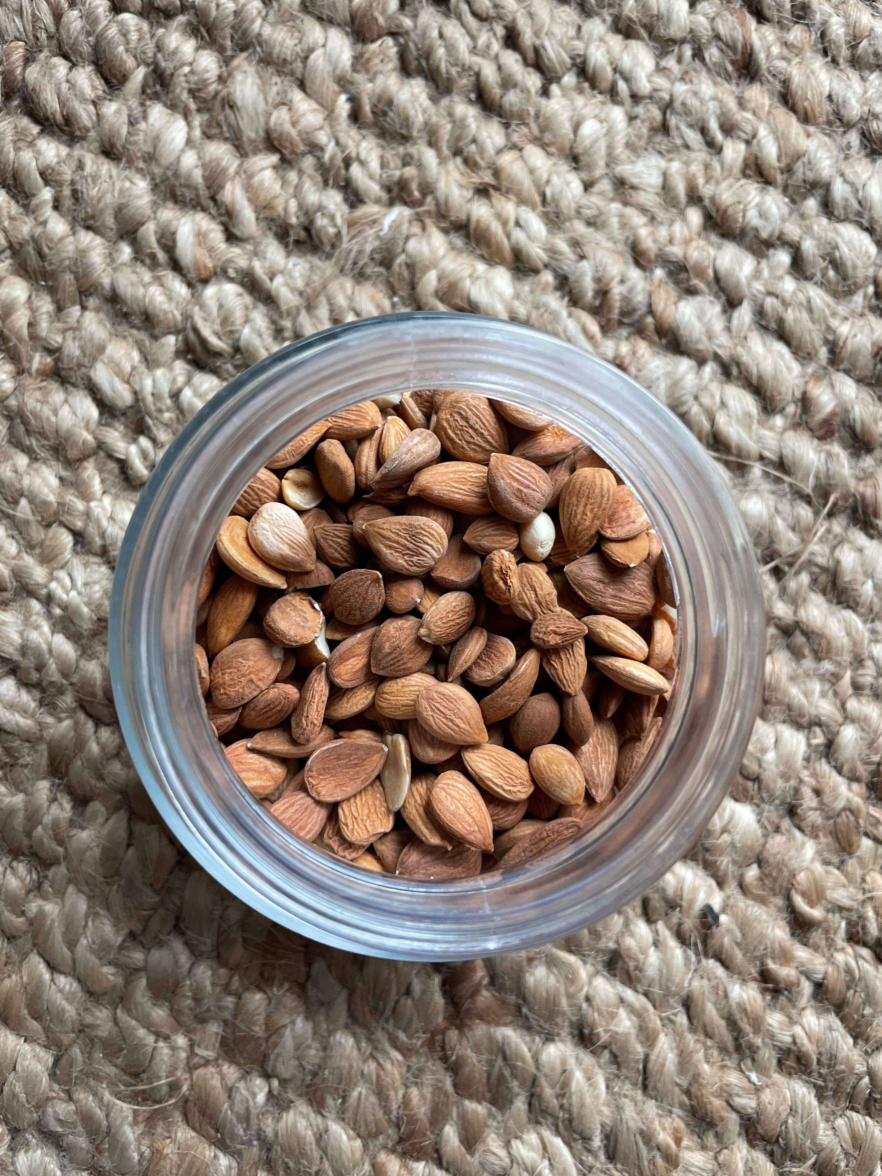 Bitter Apricot Seeds (Non GMO + 100% Natural)