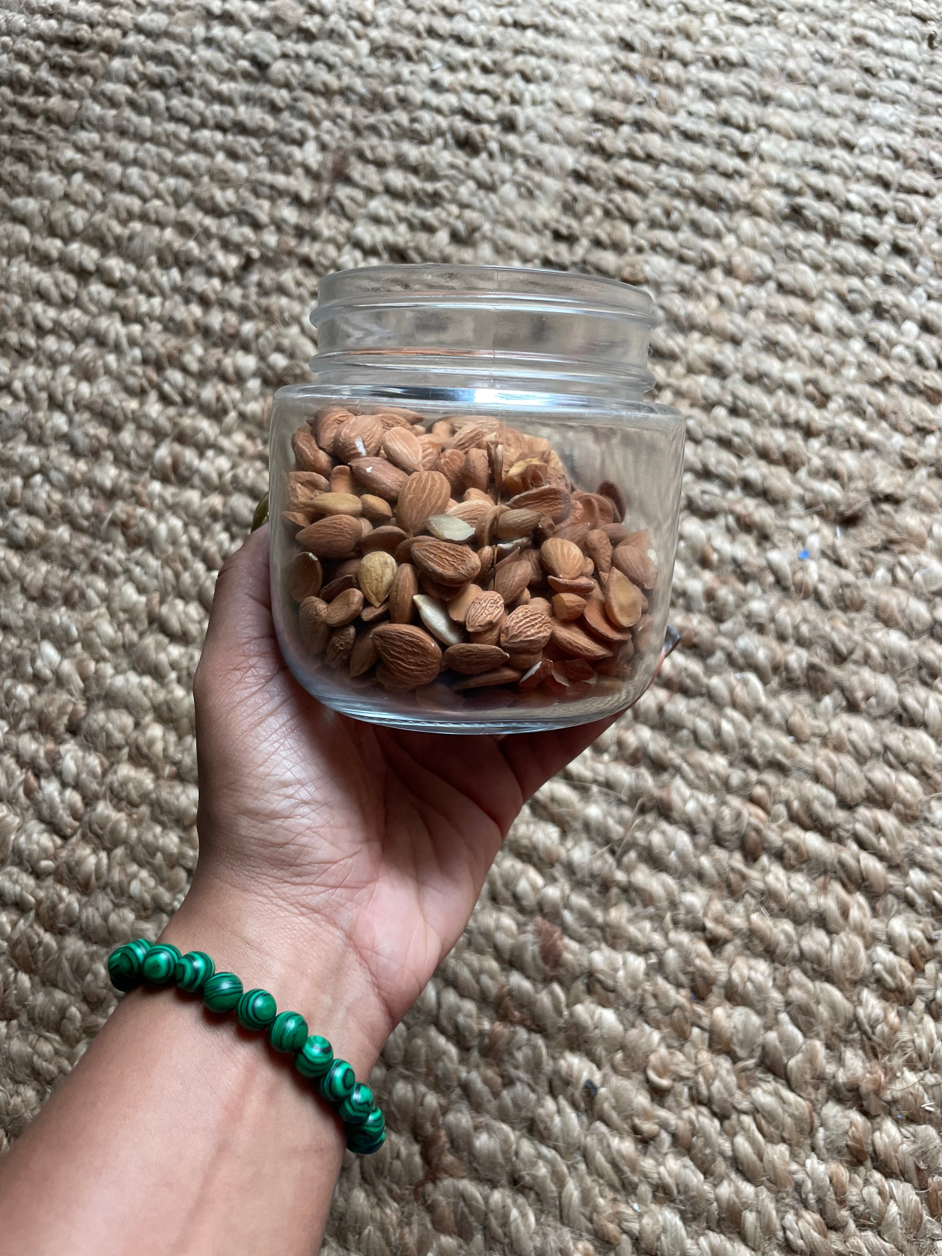 Bitter Apricot Seeds (Non GMO + 100% Natural)